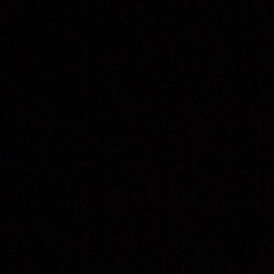 Meet your Posher, Ella